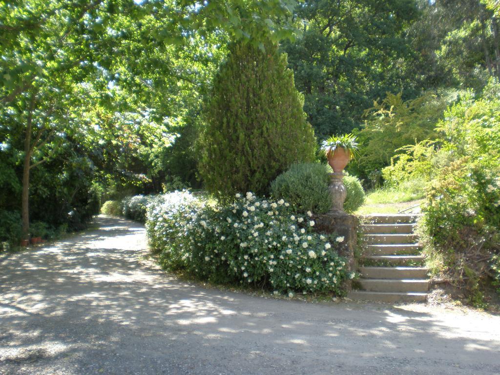 Quinta Da Vargem Уньяйш-да-Серра Экстерьер фото